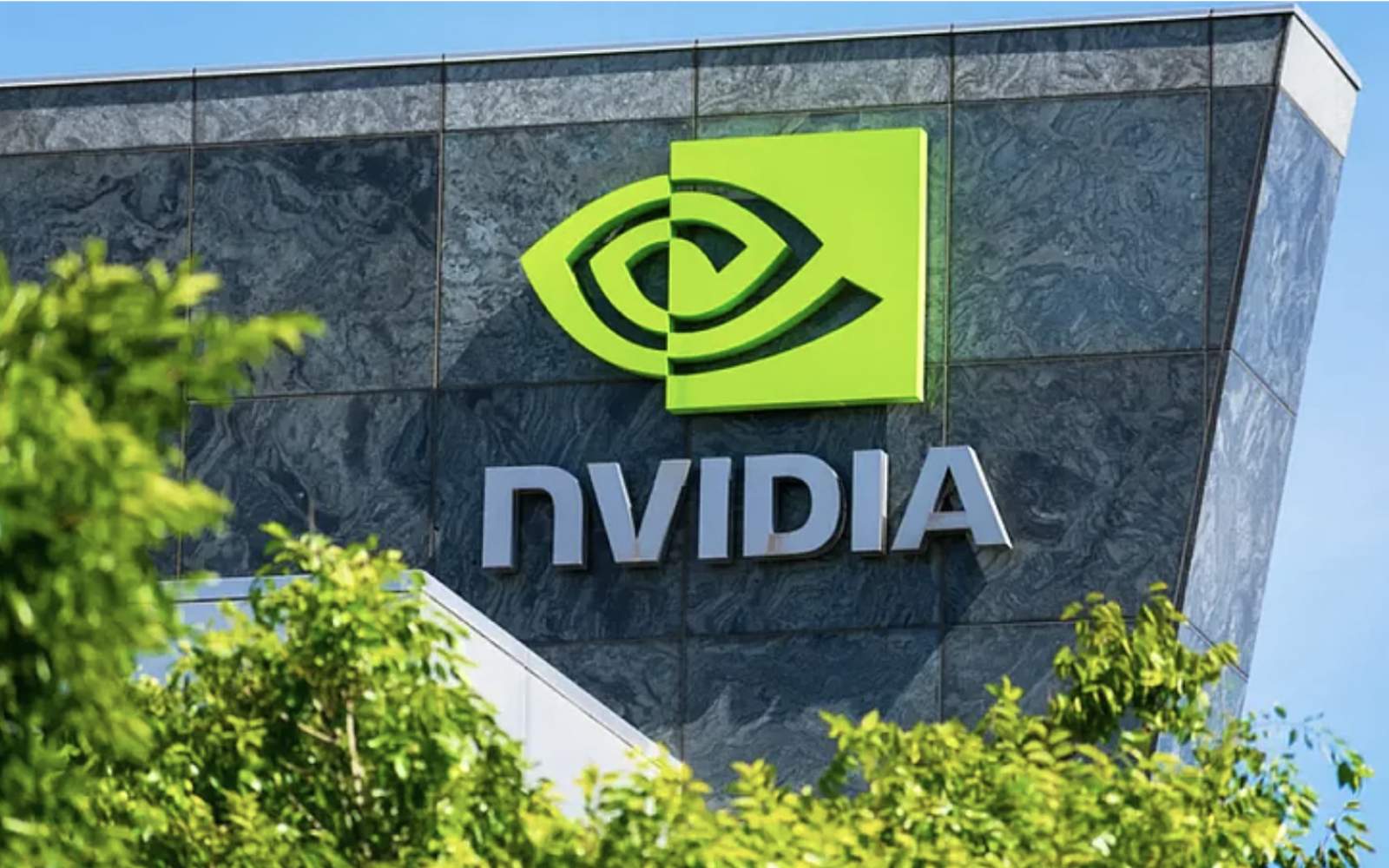 Our Nvidia Thesis Revealed, Pro Stock Market Analysis